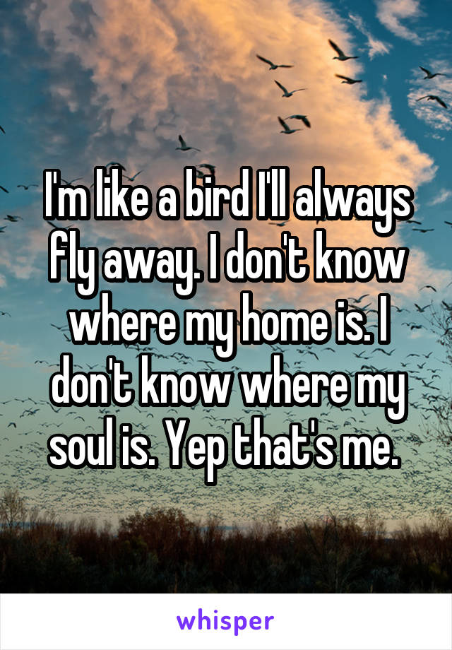 I'm like a bird I'll always fly away. I don't know where my home is. I don't know where my soul is. Yep that's me. 