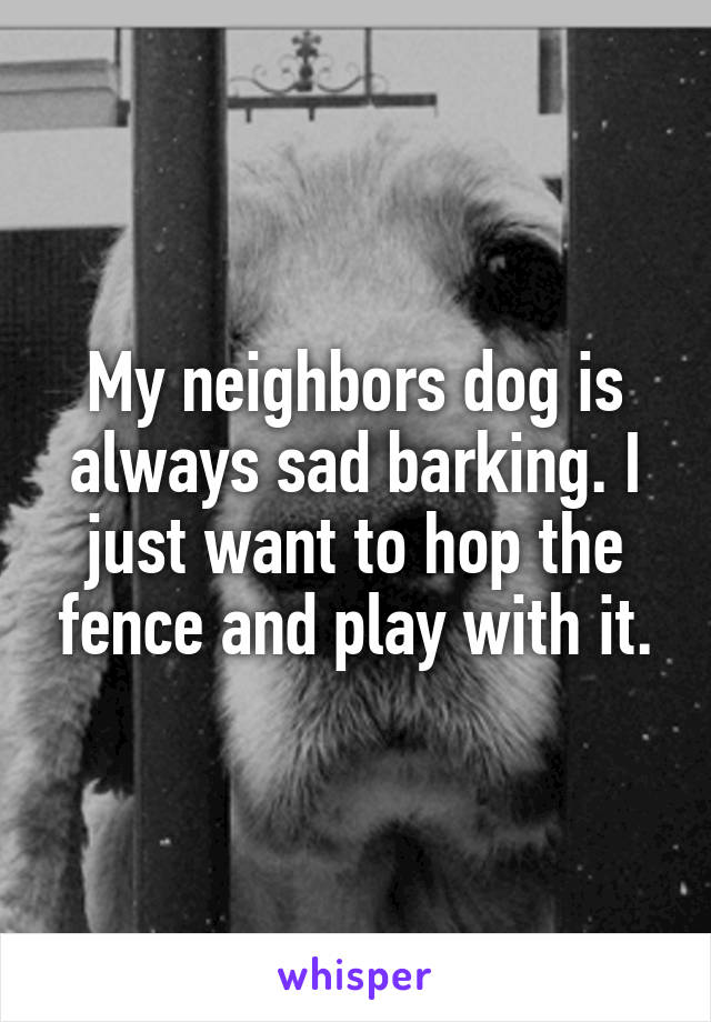 My neighbors dog is always sad barking. I just want to hop the fence and play with it.
