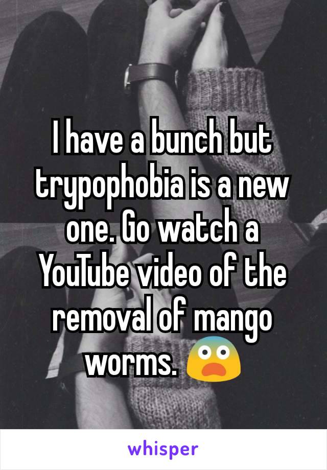 I have a bunch but trypophobia is a new one. Go watch a YouTube video of the removal of mango worms. 😨