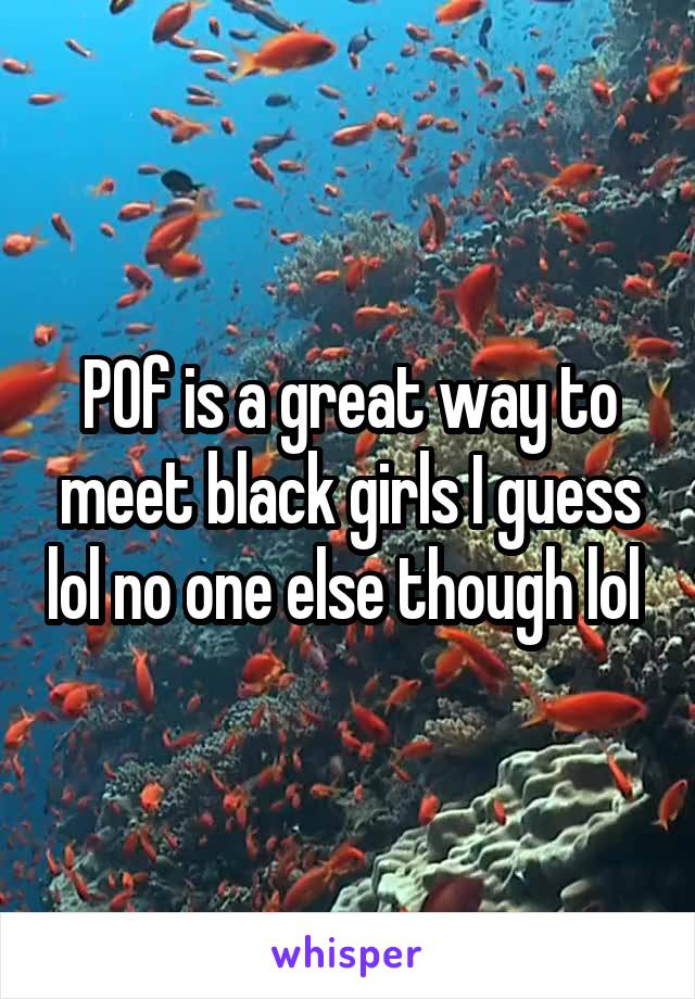 POf is a great way to meet black girls I guess lol no one else though lol 