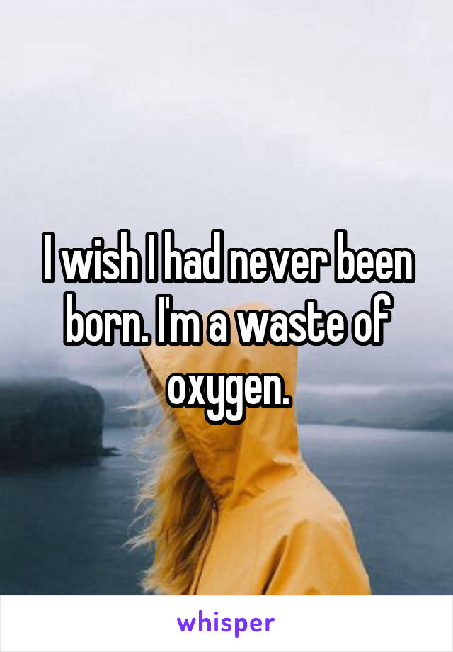 I wish I had never been born. I'm a waste of oxygen.