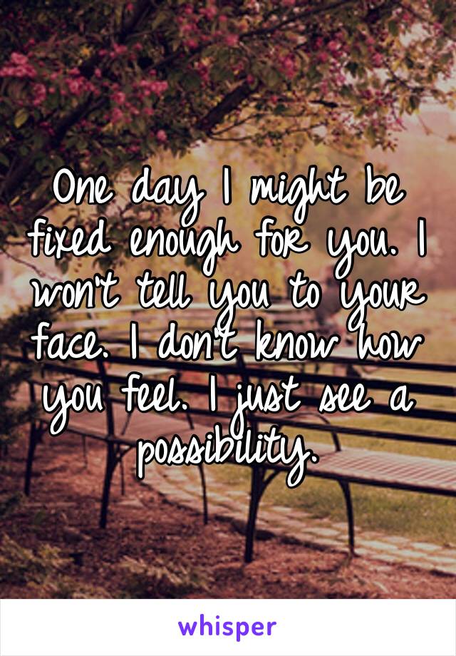 One day I might be fixed enough for you. I won’t tell you to your face. I don’t know how you feel. I just see a possibility.