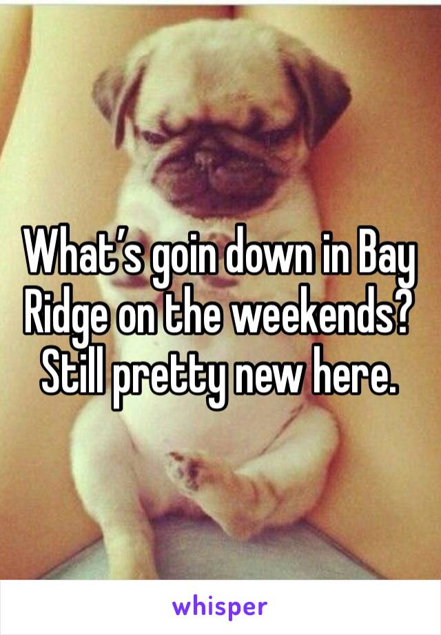What’s goin down in Bay Ridge on the weekends? Still pretty new here.