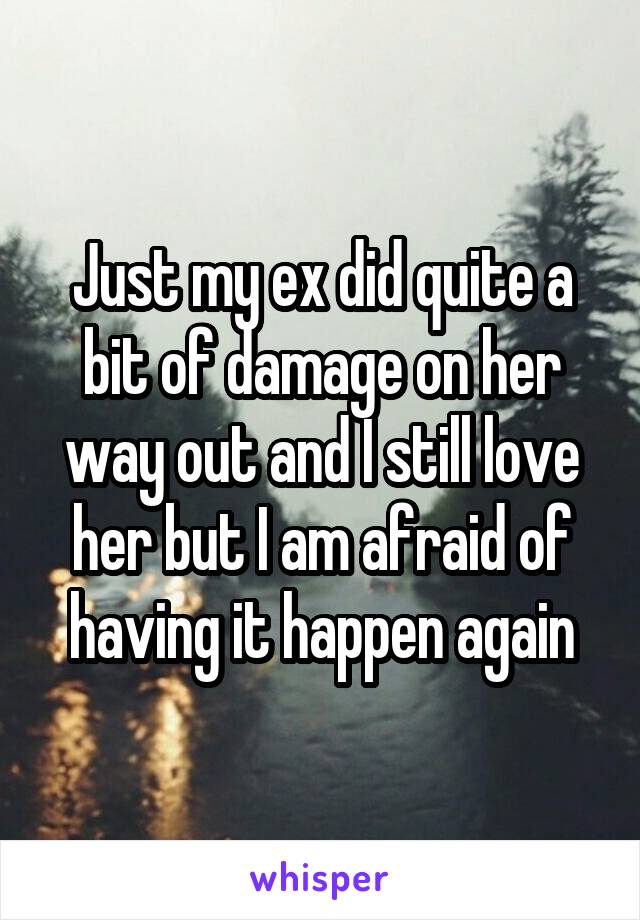Just my ex did quite a bit of damage on her way out and I still love her but I am afraid of having it happen again