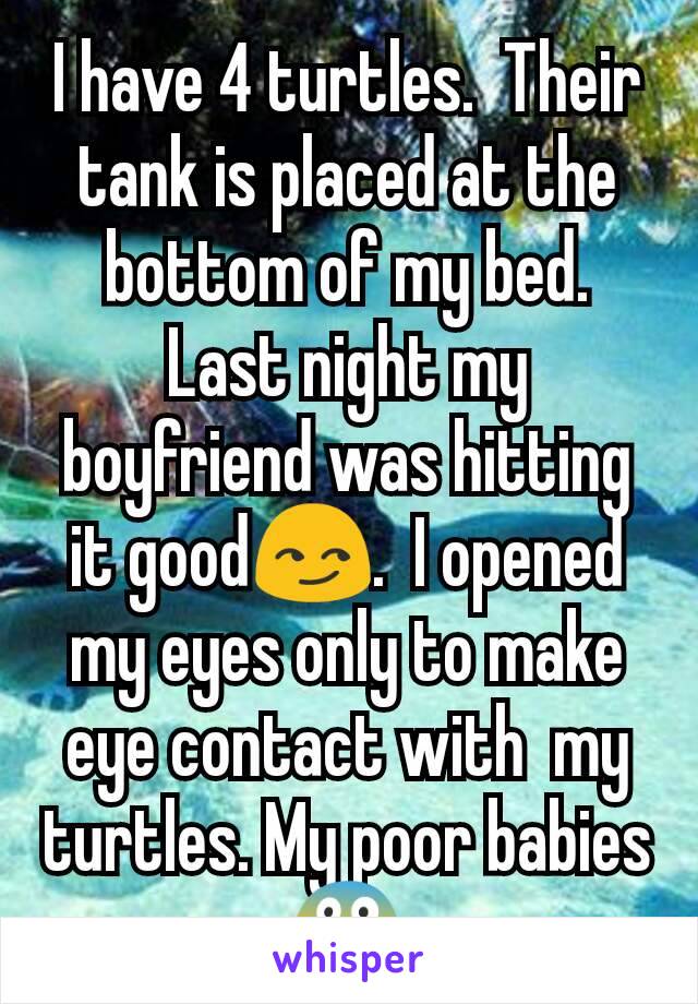 I have 4 turtles.  Their tank is placed at the bottom of my bed.  Last night my boyfriend was hitting it good😏.  I opened my eyes only to make eye contact with  my turtles. My poor babies😱