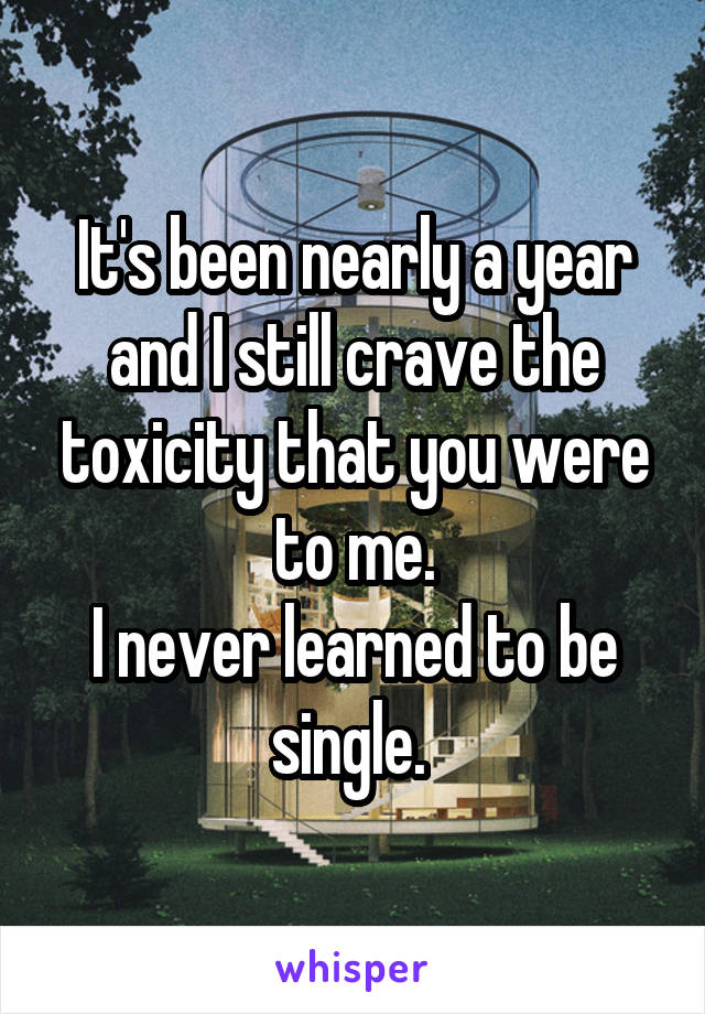 It's been nearly a year and I still crave the toxicity that you were to me.
I never learned to be single. 
