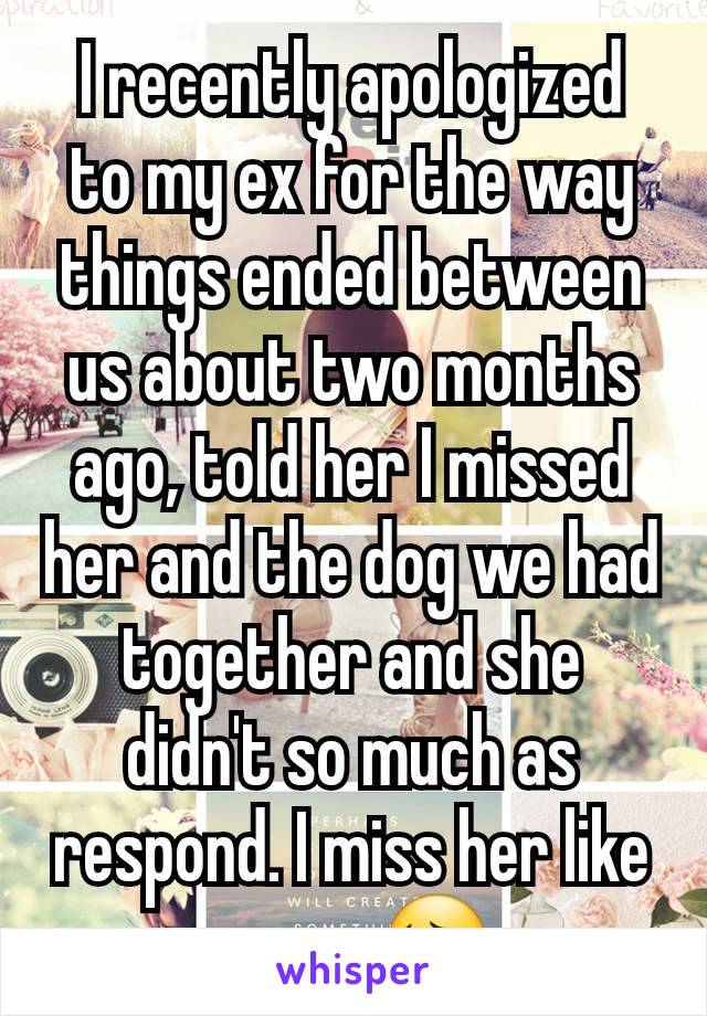 I recently apologized to my ex for the way things ended between us about two months ago, told her I missed her and the dog we had together and she didn't so much as respond. I miss her like crazy 😔