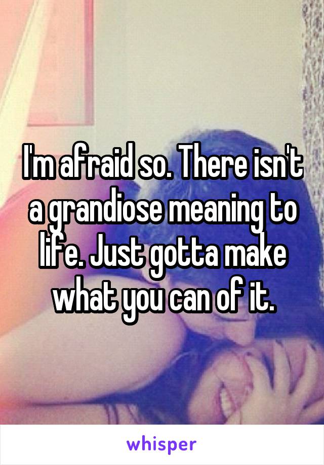 I'm afraid so. There isn't a grandiose meaning to life. Just gotta make what you can of it.