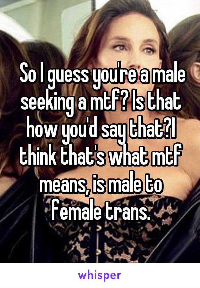  So I guess you're a male seeking a mtf? Is that how you'd say that?I think that's what mtf means, is male to female trans.