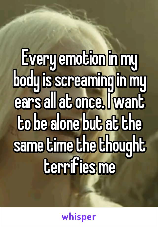 Every emotion in my body is screaming in my ears all at once. I want to be alone but at the same time the thought terrifies me