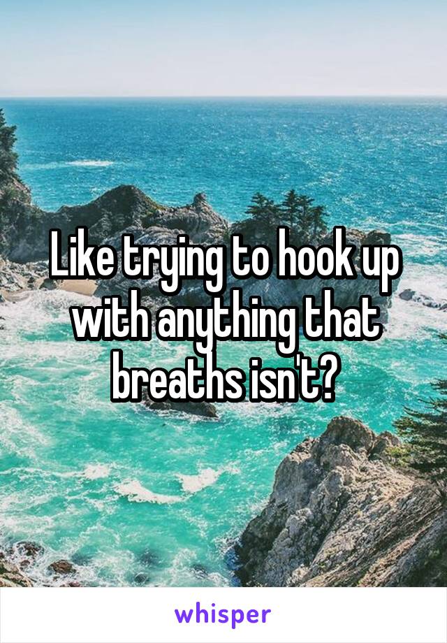 Like trying to hook up with anything that breaths isn't?