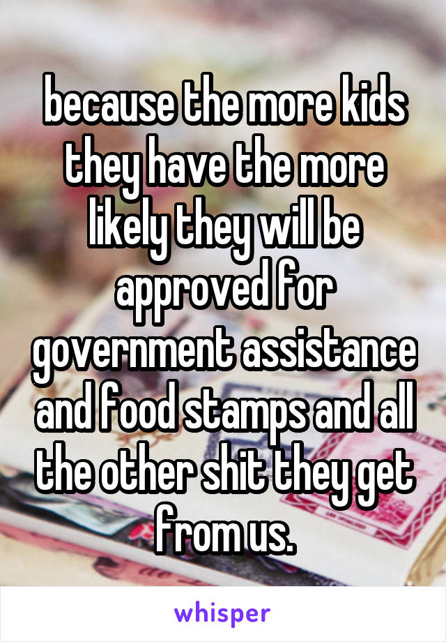 because the more kids they have the more likely they will be approved for government assistance and food stamps and all the other shit they get from us.