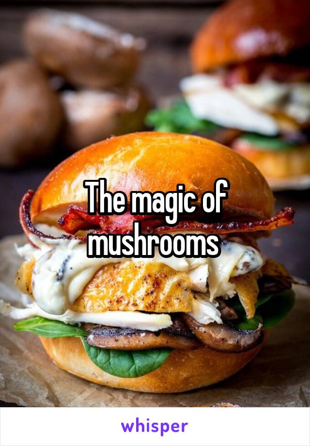 The magic of mushrooms 