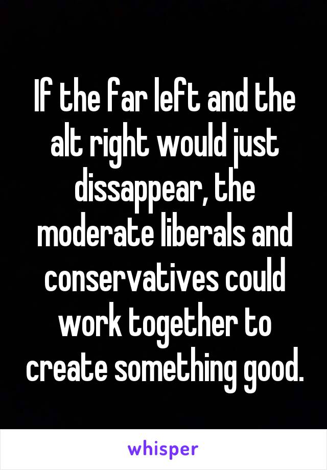 If the far left and the alt right would just dissappear, the moderate liberals and conservatives could work together to create something good.