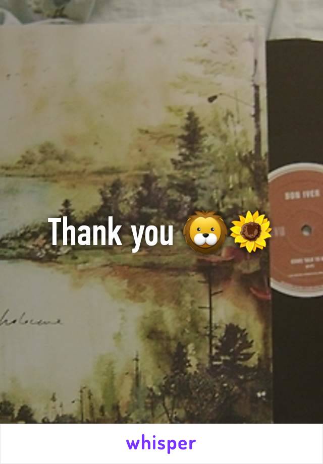 Thank you 🦁🌻