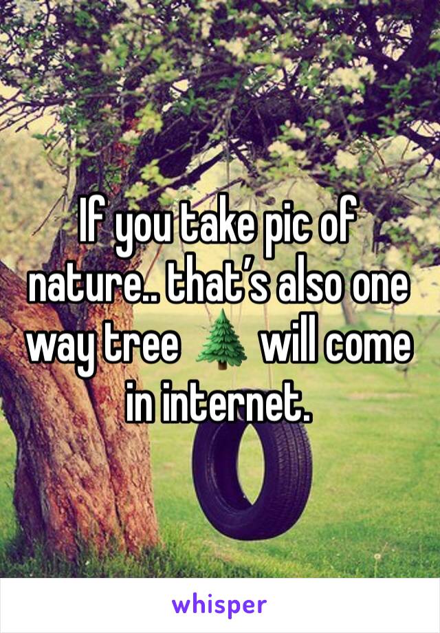 If you take pic of nature.. that’s also one way tree 🌲 will come in internet.
