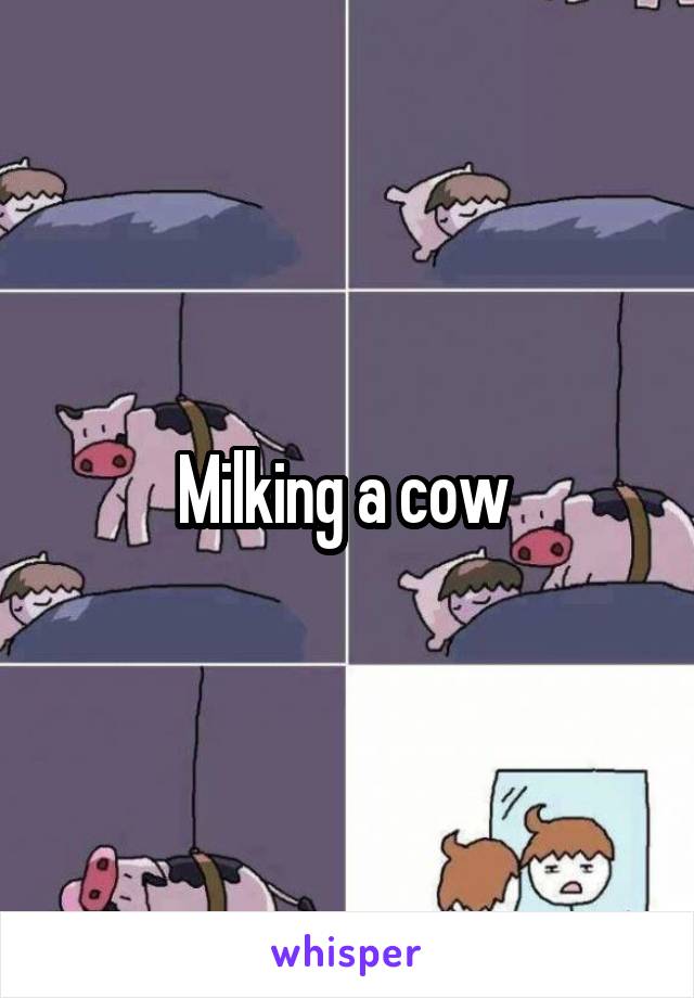 Milking a cow 