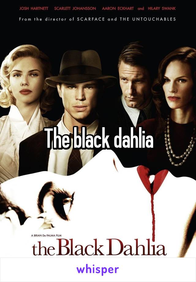 The black dahlia