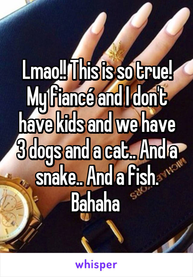 Lmao!! This is so true! My fiancé and I don't have kids and we have 3 dogs and a cat.. And a snake.. And a fish. Bahaha 