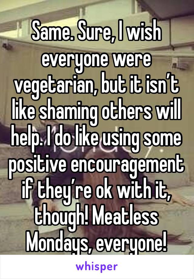 Same. Sure, I wish everyone were vegetarian, but it isn’t like shaming others will help. I do like using some positive encouragement if they’re ok with it, though! Meatless Mondays, everyone! 