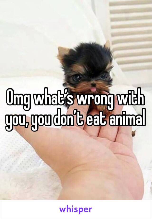 Omg what’s wrong with you, you don’t eat animal