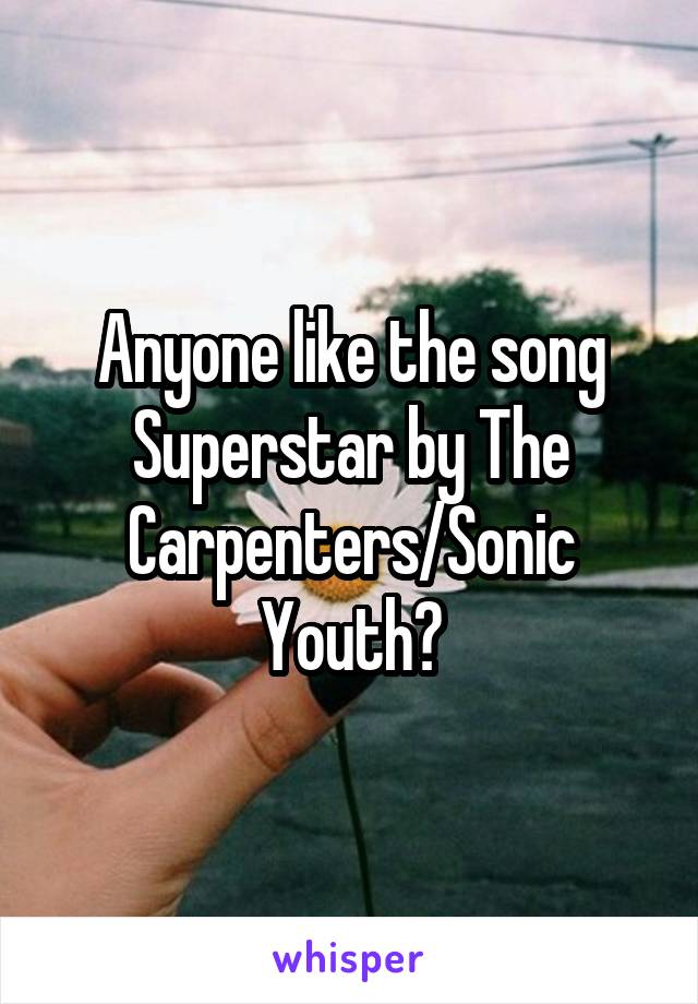 Sonic Youth Superstar carpenders album