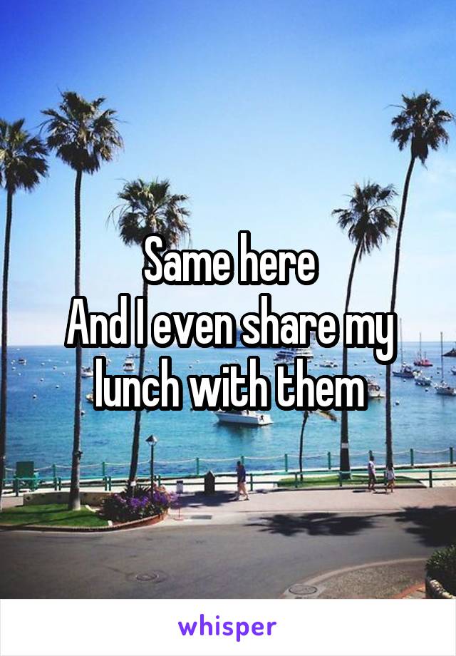 Same here
And I even share my lunch with them