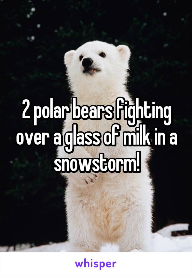 2 polar bears fighting over a glass of milk in a snowstorm!