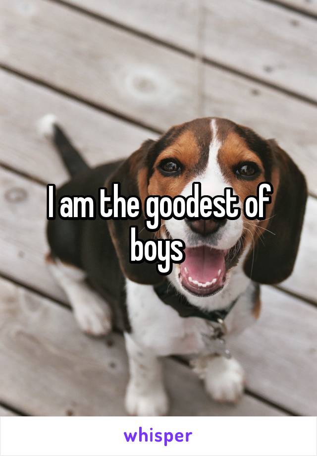 I am the goodest of boys 