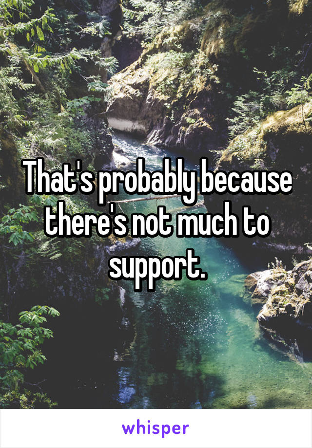 That's probably because there's not much to support.