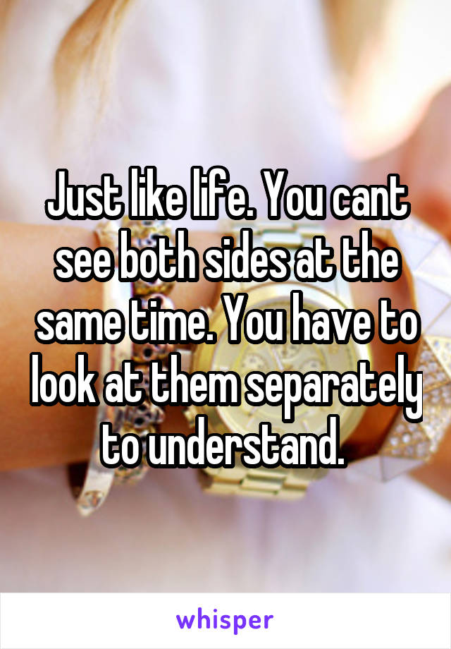 Just like life. You cant see both sides at the same time. You have to look at them separately to understand. 