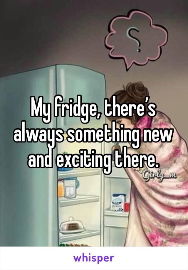 My fridge, there’s always something new and exciting there. 