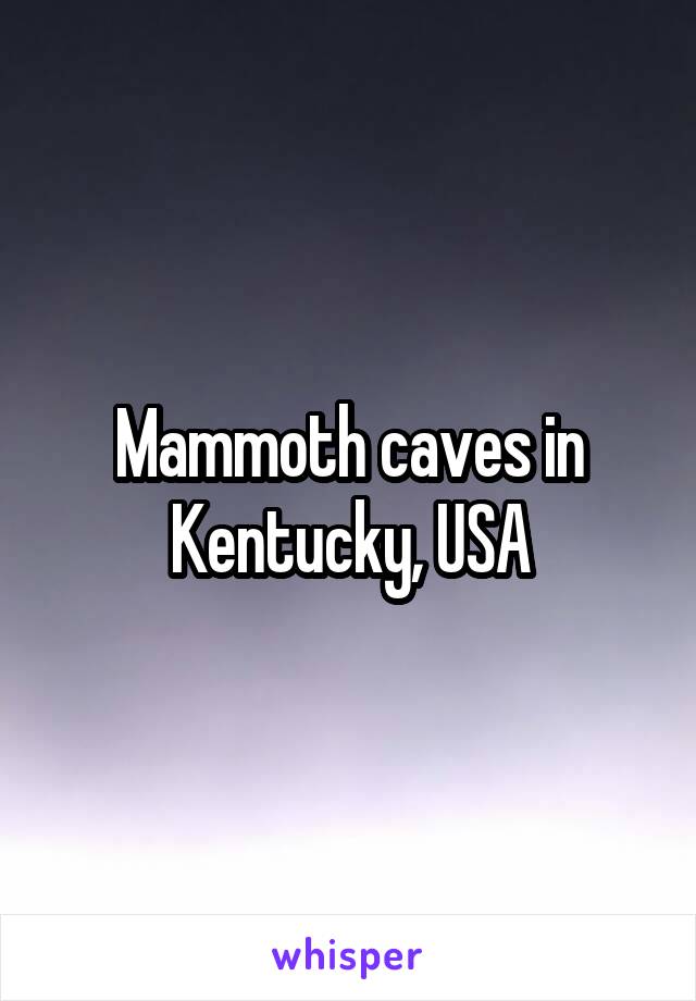 Mammoth caves in Kentucky, USA