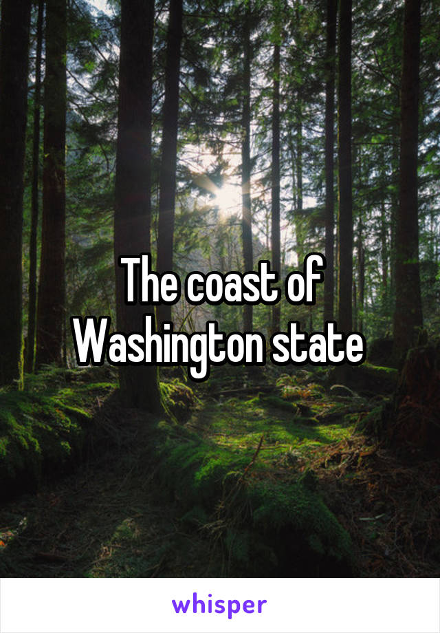 The coast of Washington state 