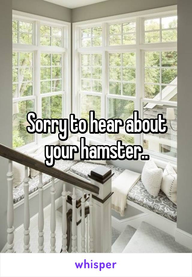 Sorry to hear about your hamster..