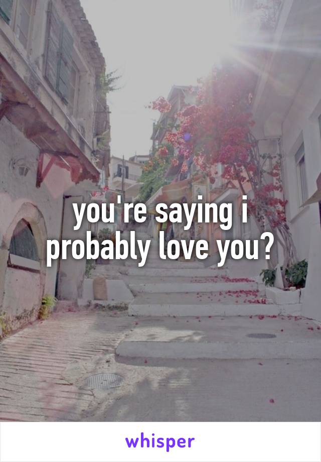 you're saying i probably love you?