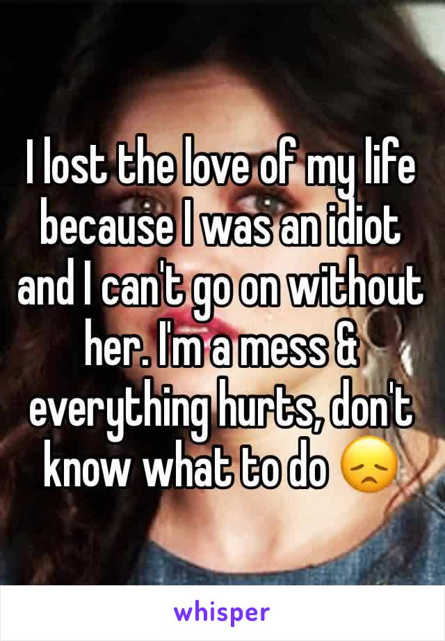 I lost the love of my life because I was an idiot and I can't go on without her. I'm a mess & everything hurts, don't know what to do ðŸ˜ž