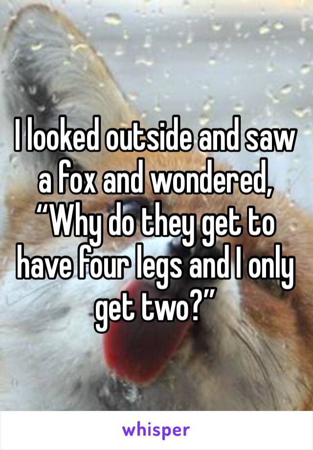 I looked outside and saw a fox and wondered, “Why do they get to have four legs and I only get two?”