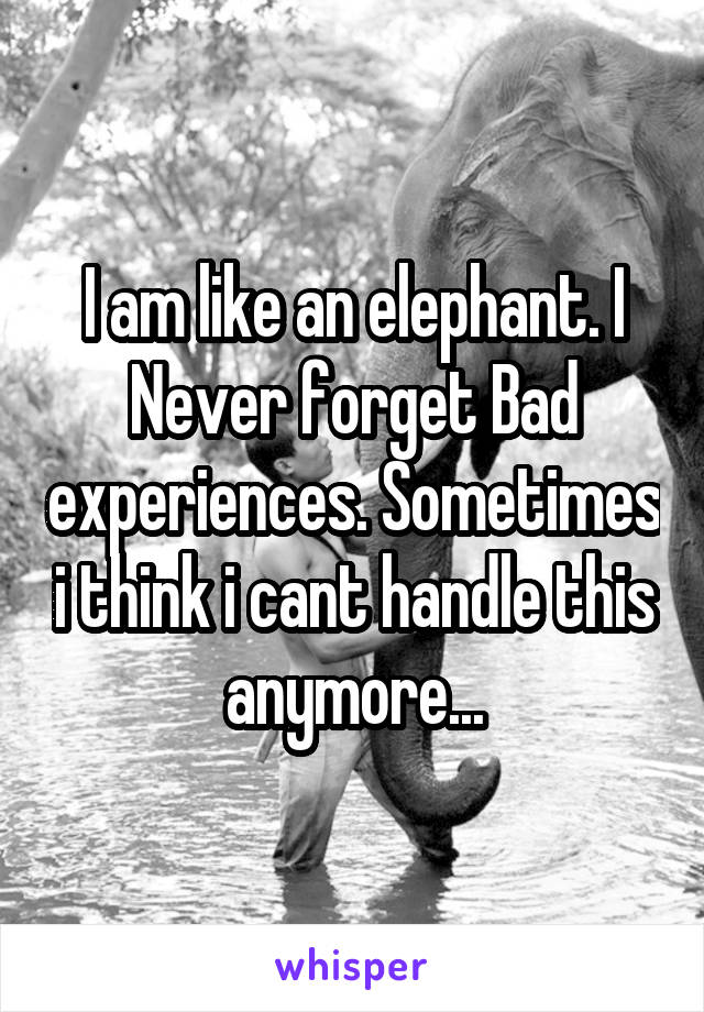 I am like an elephant. I Never forget Bad experiences. Sometimes i think i cant handle this anymore...