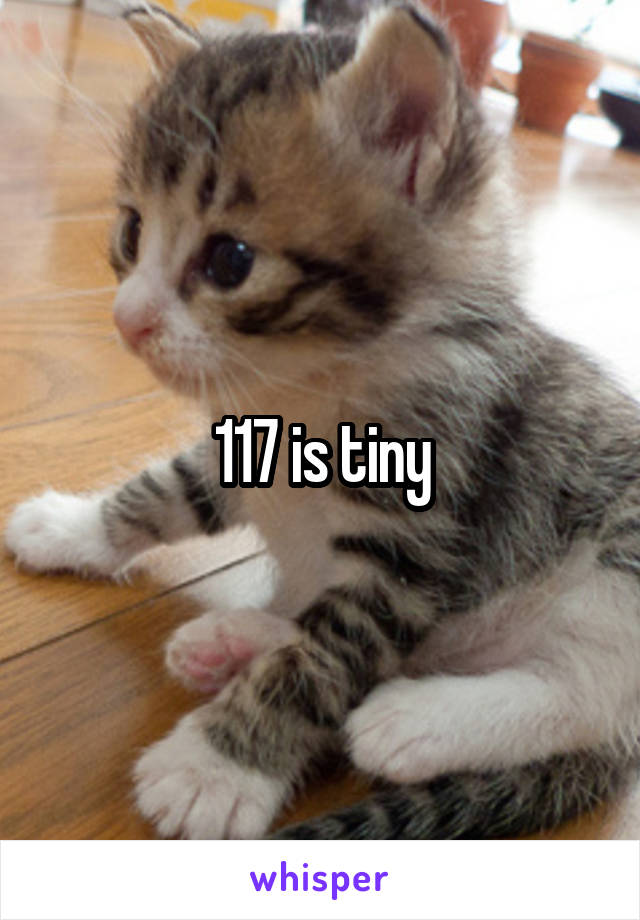 117 is tiny