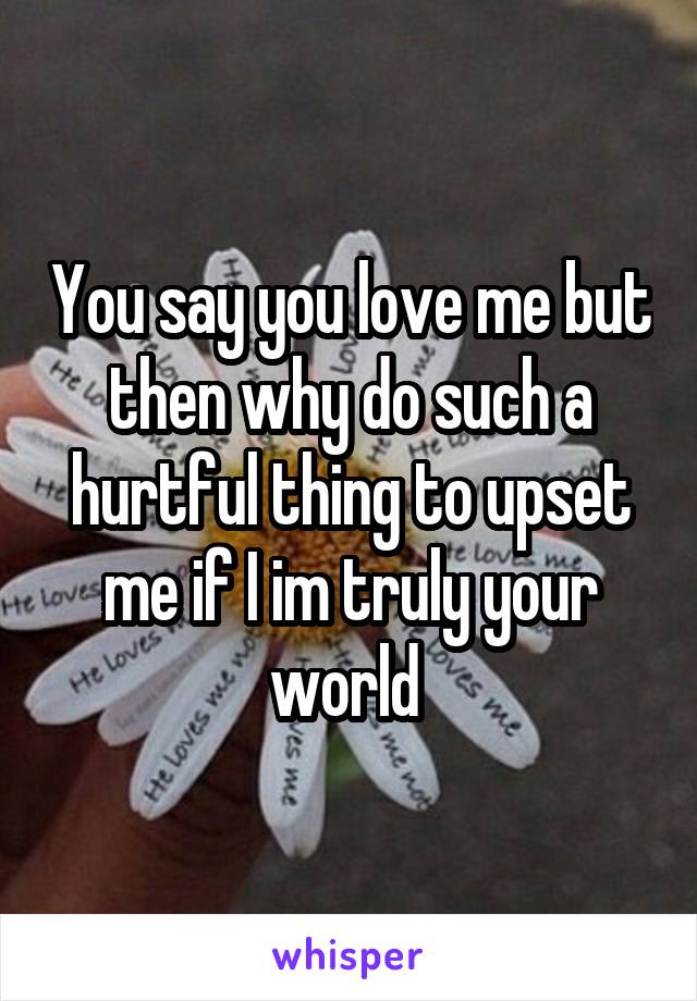 You say you love me but then why do such a hurtful thing to upset me if I im truly your world 