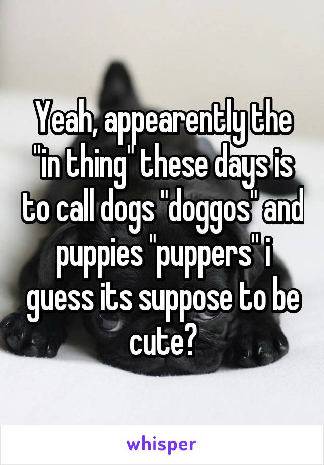 Yeah, appearently the "in thing" these days is to call dogs "doggos" and puppies "puppers" i guess its suppose to be cute?