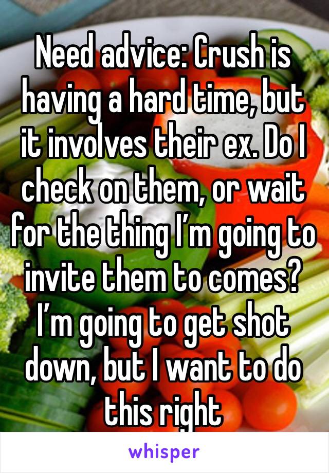 Need advice: Crush is having a hard time, but it involves their ex. Do I check on them, or wait for the thing I’m going to invite them to comes?
I’m going to get shot down, but I want to do this right