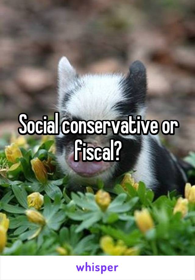 Social conservative or fiscal?
