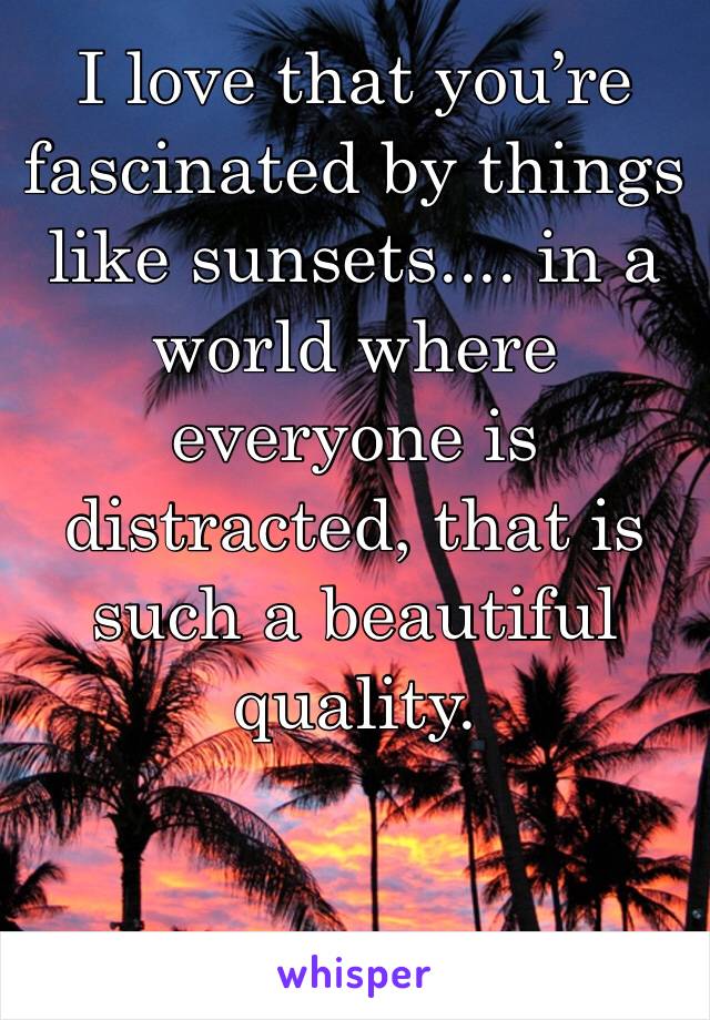 I love that you’re fascinated by things like sunsets.... in a world where everyone is distracted, that is such a beautiful quality. 