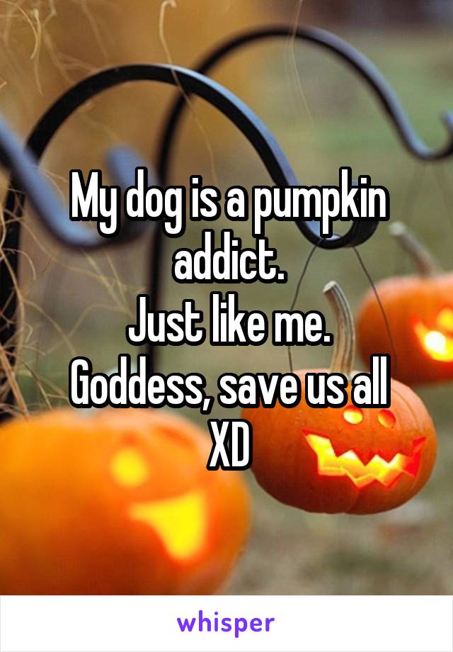 My dog is a pumpkin addict.
Just like me.
Goddess, save us all
XD