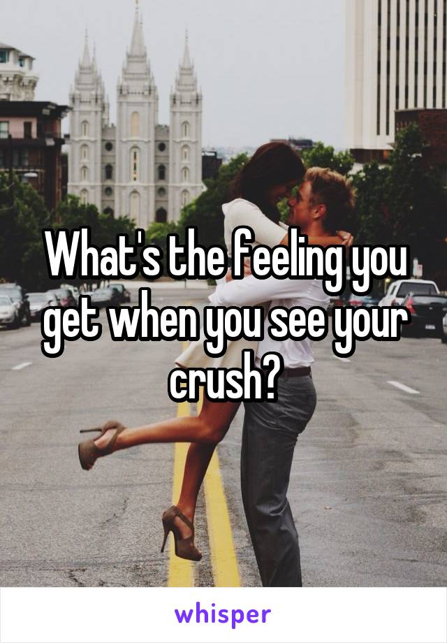 What's the feeling you get when you see your crush?