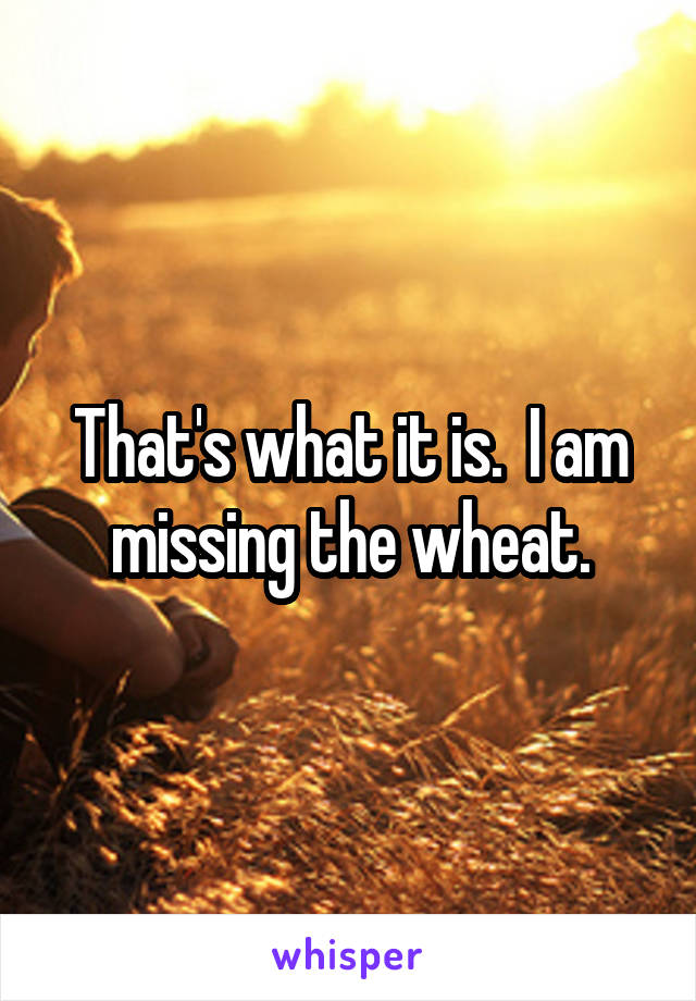 That's what it is.  I am missing the wheat.