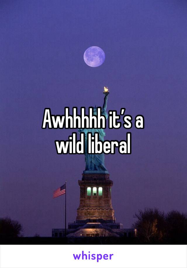 Awhhhhh it’s a wild liberal 