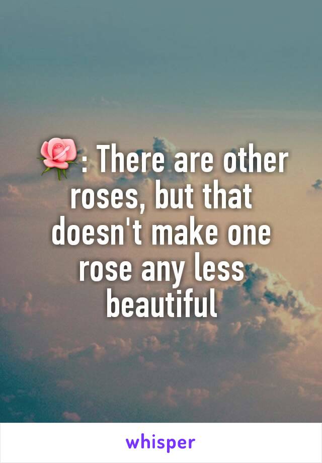 ðŸŒ¹: There are other roses, but that doesn't make one rose any less beautiful
